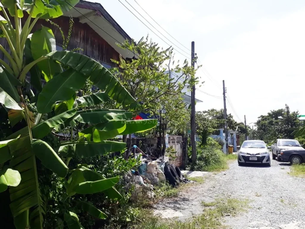 ที่ดินพร้อมสิ่งปลูกสร้าง 60ตรว พุทธมณฑลสาย2