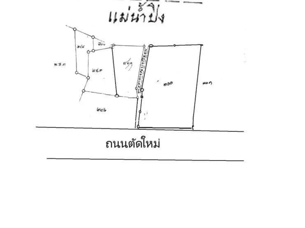 ขายที่ดินติดน้ำปิง ริมเหนือ แม่ริม