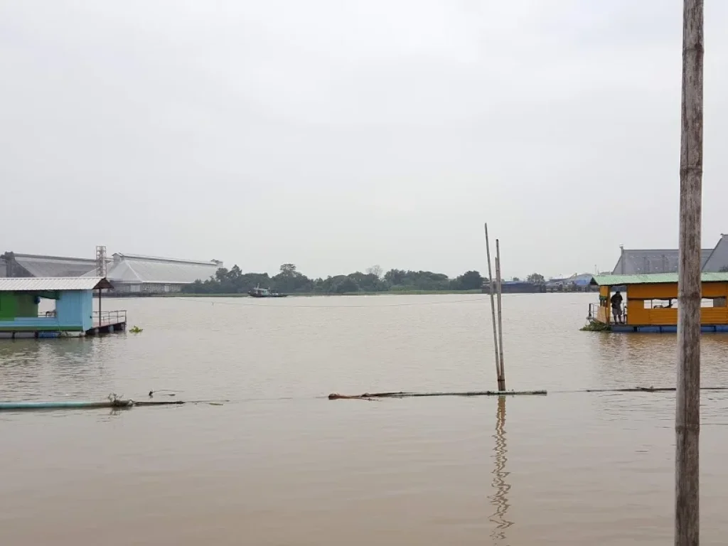 ที่ดินติดแม่น้ำเจ้าพระยา แถวลานเท จพระนครศรีอยุธยา บท 025 ขายที่ดินติดแม่น้ำเจ้าพระยา อบางไทร จพระนครศรีอยุธยา มี 2 แปลง