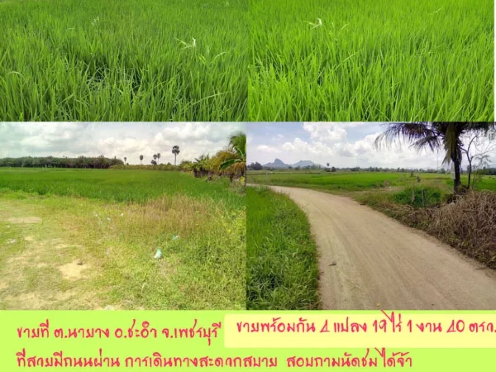 ที่ดิน 19-1-40 ไร่ อชะอำ จเพชรบุรี