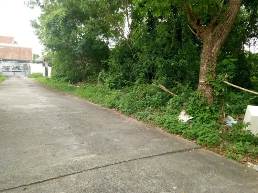 ขายที่ดินบ้านมอญ ห่างเรือนแพ 800 เมตร