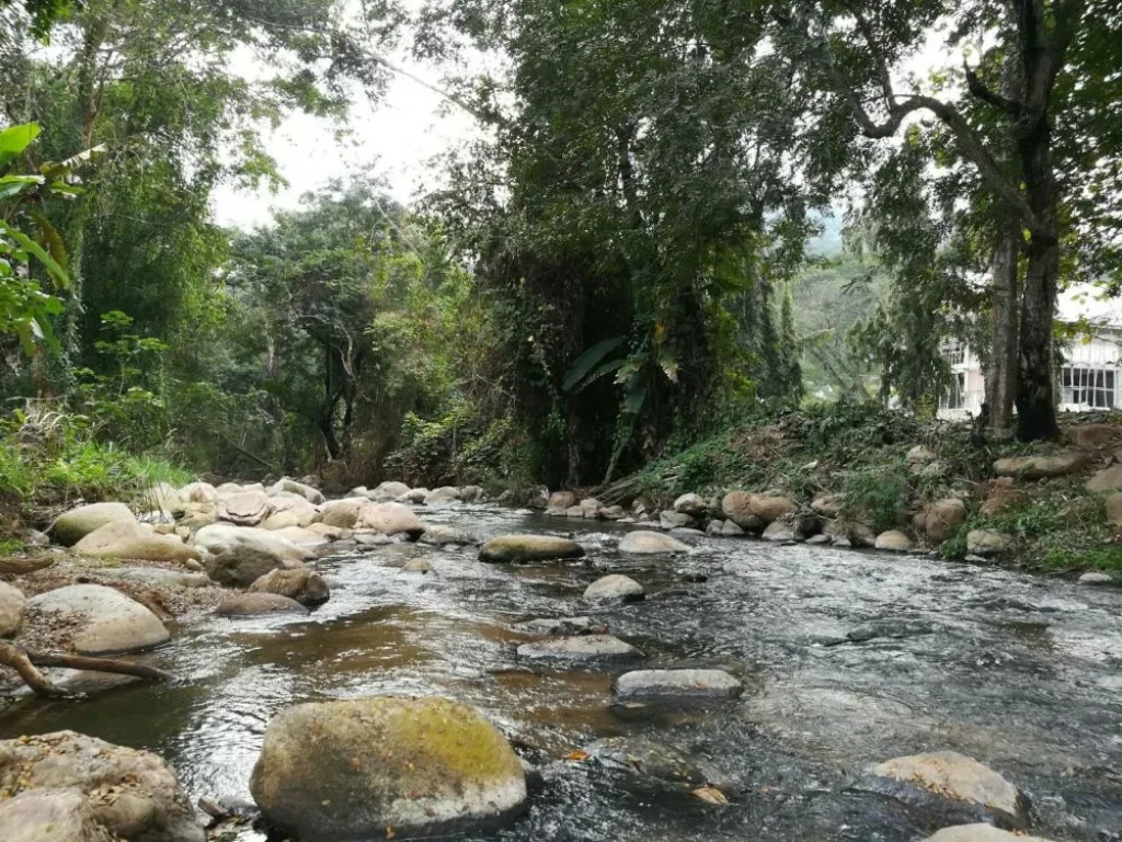 ขายที่ดินบ้านปง เห็นวิวดอย ติดธารน้ำ