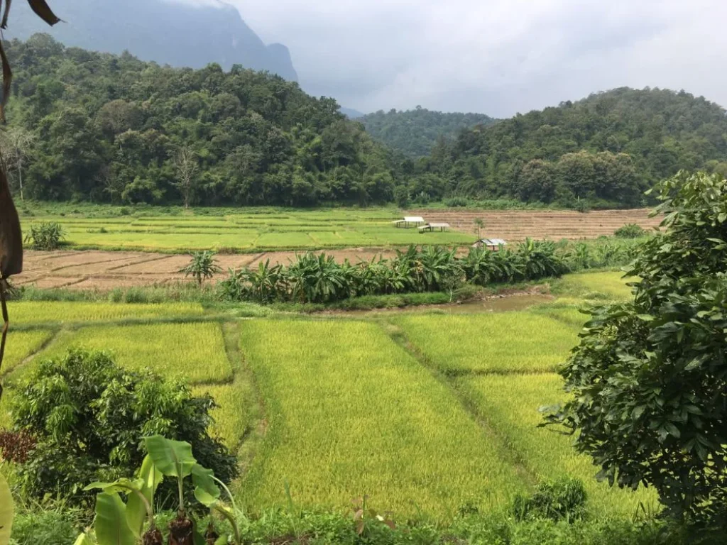 ขายที่โฉนดวิวสวย สวิตเซอร์แลนด์เมืองไทย 40 ไร่ พร้อมต้นสัก 2000 ต้น อเชียงดาว เชียงใหม่