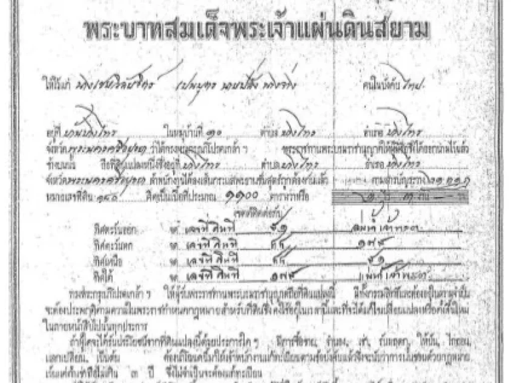 ขายที่ดินเปล่า ติดแม่น้ำเจ้าพระยา 8-0-56 ไร่ ใกล้วัดบางไทร ที่ดินบางไทร ที่ดินอยุธยา