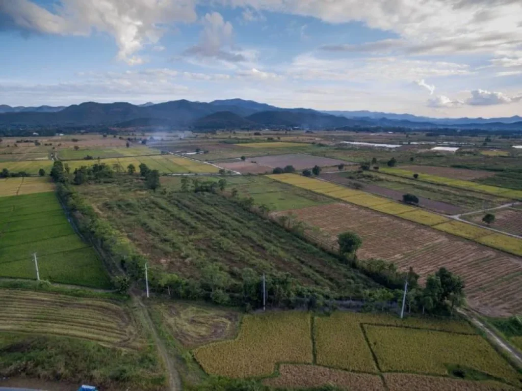 ขายที่ดินติดถนน สันกำแพง แช่ช้าง