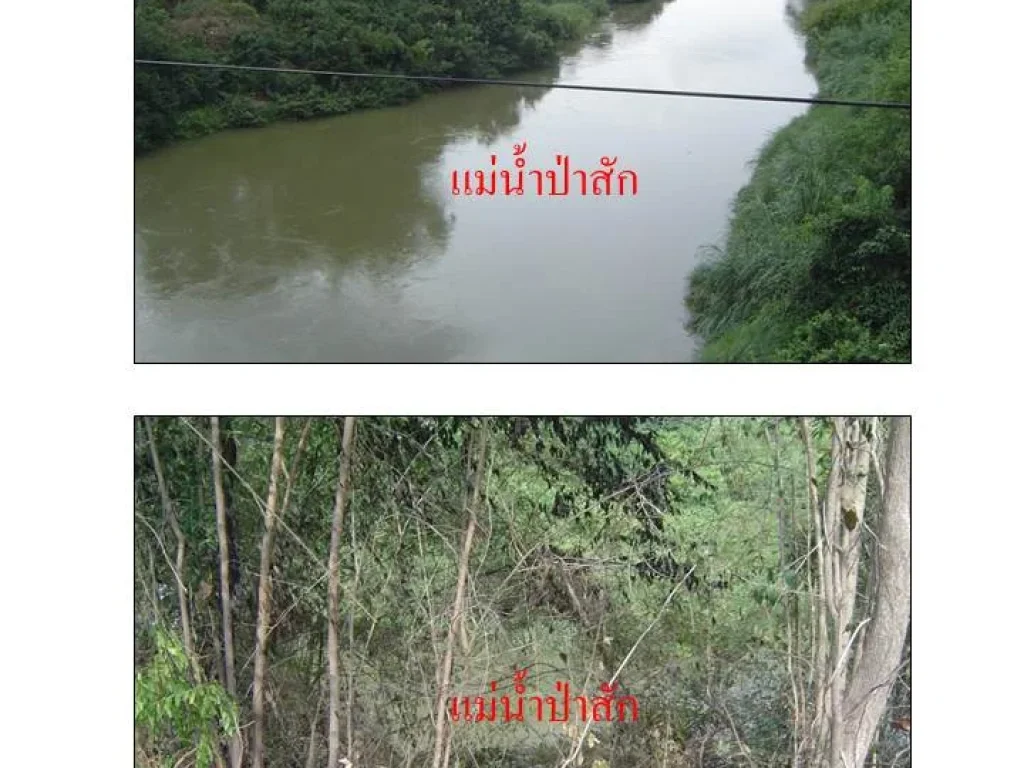 ที่ดินติดแม่น้ำป่าสัก ติดภูเขา จสระบุรี อวังม่วง มีโฉนด