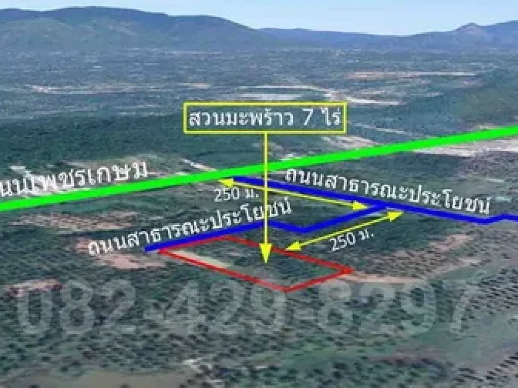 ขายสวนมะพร้าวพร้อมบ้าน อบางสะพานจประจวบคีรีขันธ์ พร้อมเก็บผลผลิต หรือทำสวนผลไม้