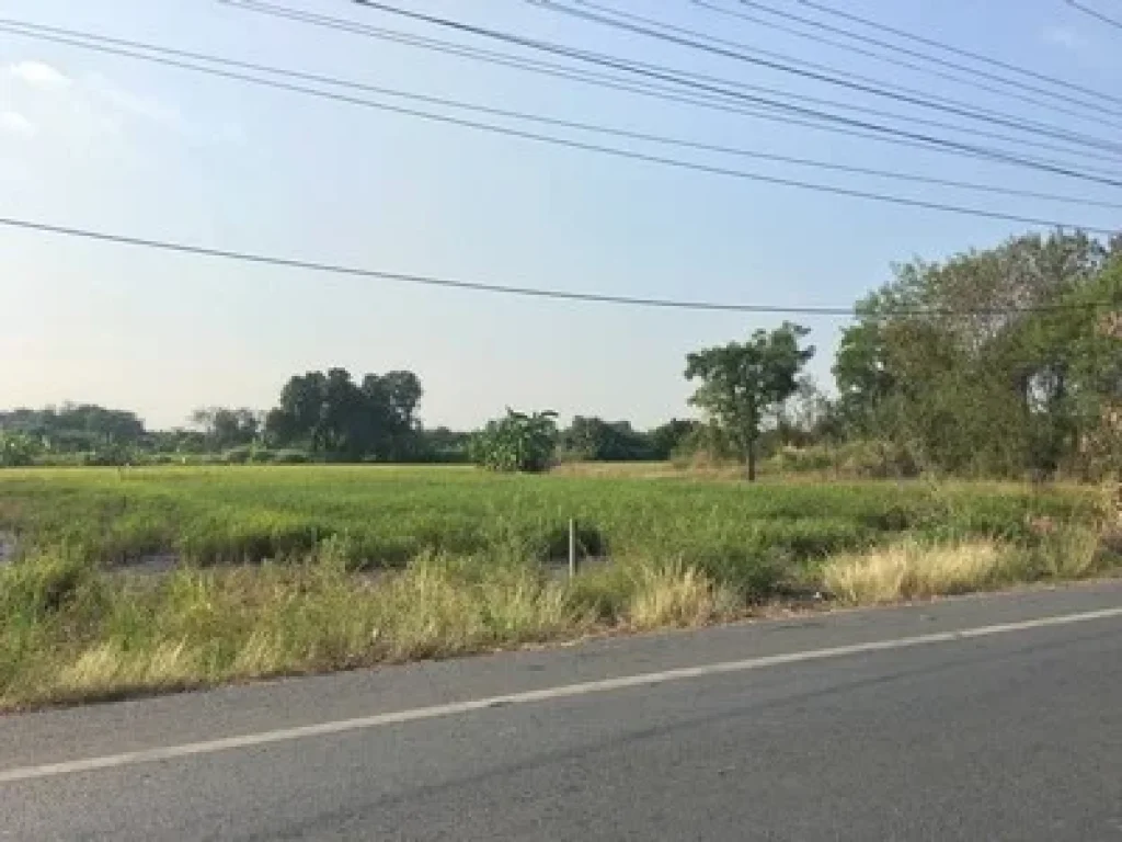 ขายที่ดินติดถนนลาดยาง คลอง10 ธัญบุรี-ลำลูกกา เนื้อที่ 2 ไร่ มีไฟฟ้า ประปา ครบ เป็นที่นาสวย