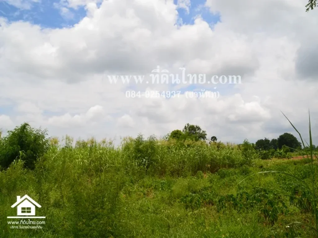 ที่ดินราคาถูก 1ไร่ โฉนด ตบ้านใหม่สามัคคี อชัยบาดาล จลพบุรี รหัส L133