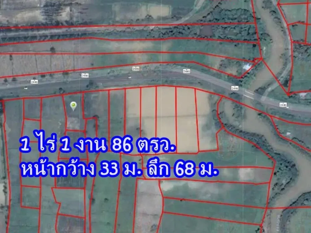 ขายที่ดิน 1-1-86 ตรว ติดถนนหลัก หนองบัว ปะคำ บุรีรัมย์