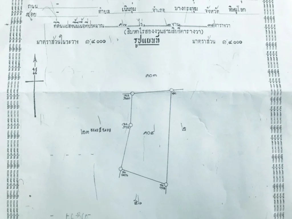 ขายด่วน ที่ดินถูก ติดถนนใหญ่ 4 เลน ทางหลวงหมายเลข 11 สากเหล็ก-วังทอง แปลงสวย ทำเลดี