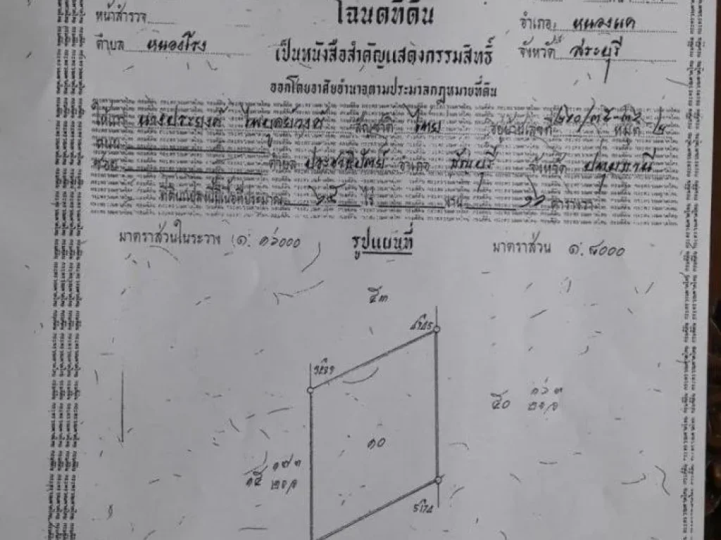 สวนปาล์ม 65 ไร่