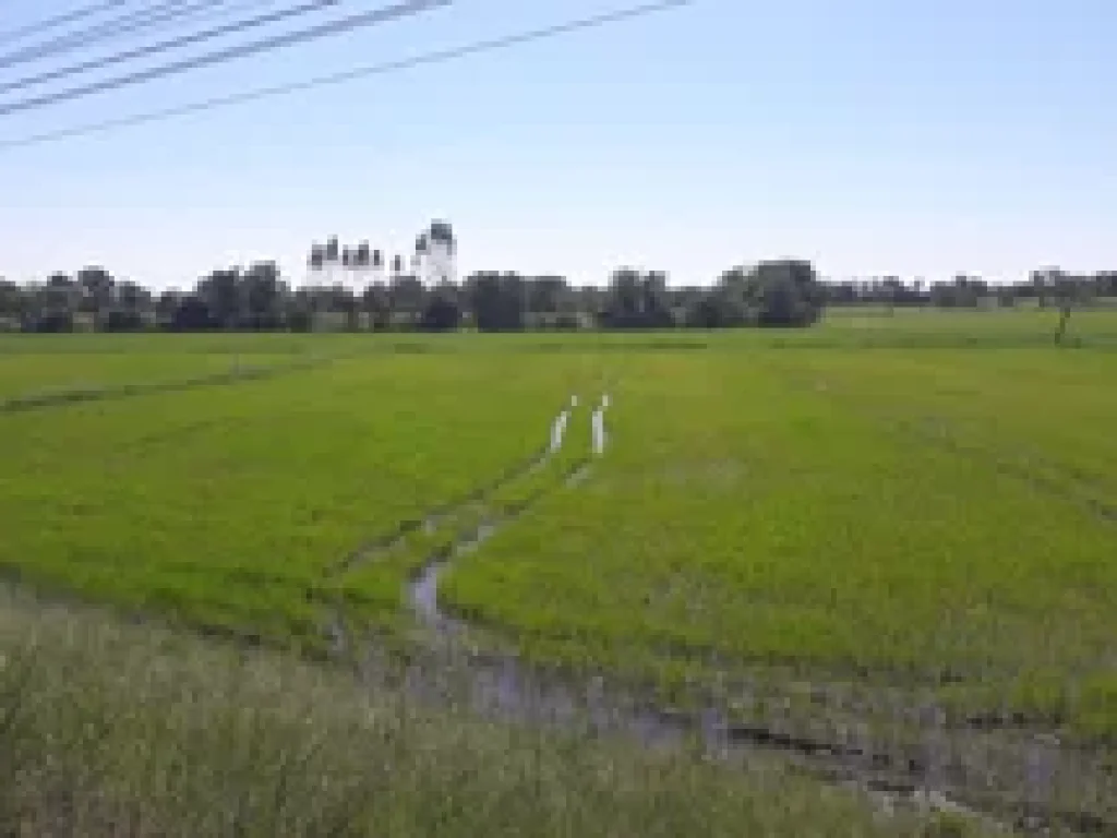 ไร่ หน้าติดทางหลวงแผ่นดิน สายกาญจนบุรี - อู่ทอง 324 ติดถนนราดยาง 4 เลนน์