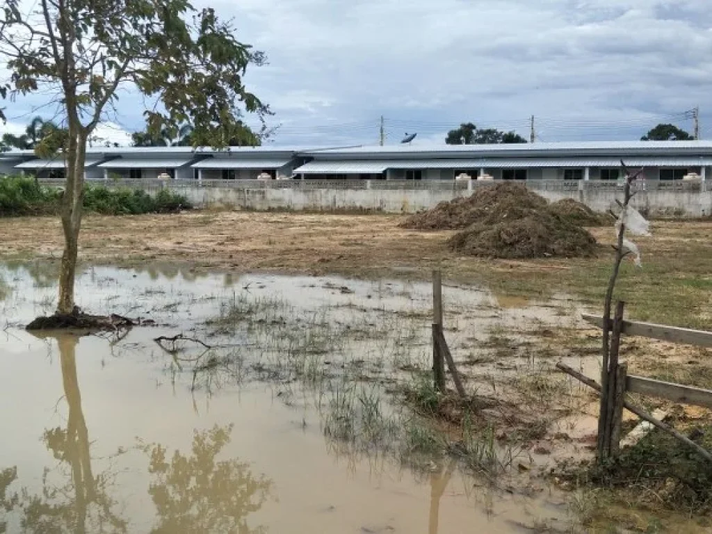 ขายที่ดิน 91 ตรวและ 197 ตรว อยู่ด้านหลังอนามัยหนองตะแบก ตตาขัน อบ้านค่าย จระยอง