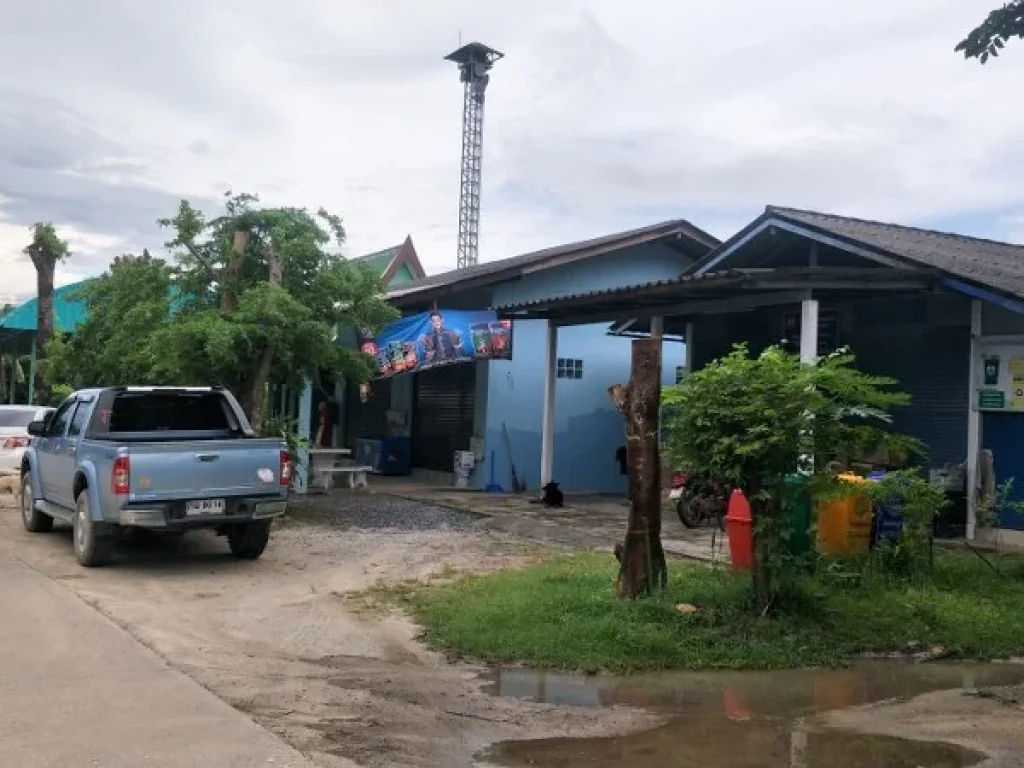 ขายที่ดิน 175 ตรว และ 200 ตรว ติดศูนย์สาธิต ชุมชนพอเพียง หมู่ 7 บ้านสะพานยายคุด ตบ้านค่าย อบ้านค่าย จระยอง