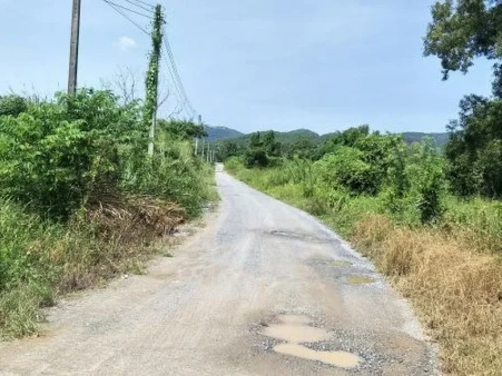 ขายที่ดิน 13 ไร่ 2 งาน 69 ตรว ห่างจากถนนสุขุมวิท 300 เมตร ห่างจากแยกเจ 500 เมตร ตสัตหีบ อสัตหีบ จชลบุรี