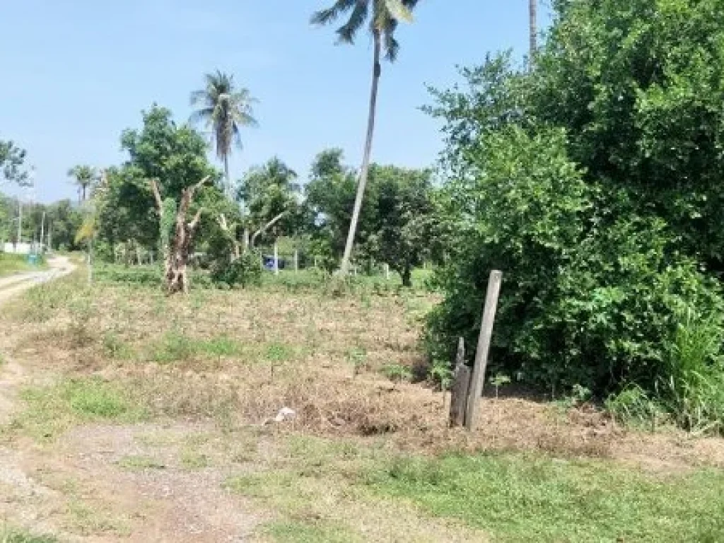 ขายที่ดิน 13 ไร่ 2 งาน 69 ตรว ห่างจากถนนสุขุมวิท 300 เมตร ห่างจากแยกเจ 500 เมตร ตสัตหีบ อสัตหีบ จชลบุรี