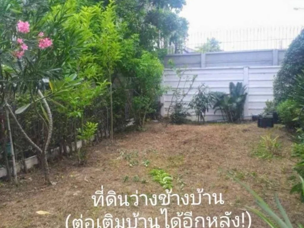 ขายบ้านสไตล์บ้านแฝด หมู่บ้านพฤกษาวิลล์73 พัฒนาการ 38 หลังมุมซอยแรก