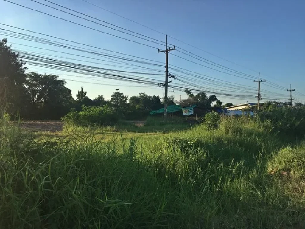 ที่ดิน ขอนแก่น อำเภอบ้านแฮด ติดถนนมิตรภาพ ติดถนน 2 ด้าน ที่ดินแปลงสวย