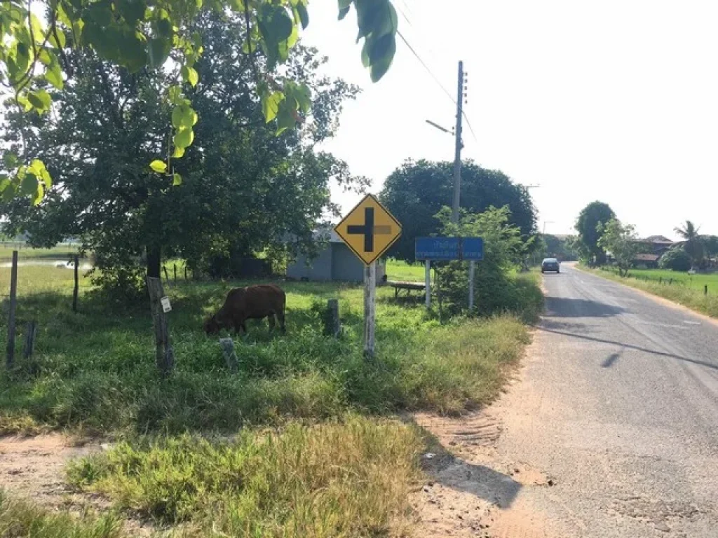 ขายที่ดินเปล่าทำเลดี ติดถนน บ้านหินลาน ท่าสองคอน เมืองมหาสารคาม เจ้าของขายถูกมาก ติดหมู่บ้าน