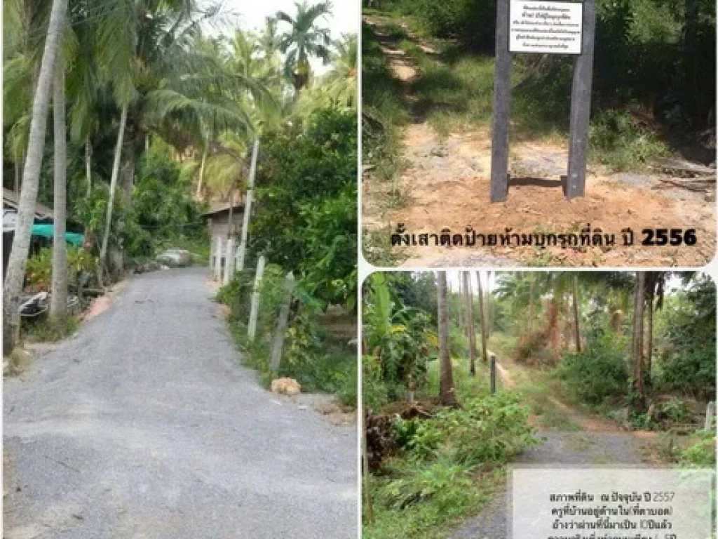 ขาย ที่ดิน ขนอม นครศรีธรรมราช หาดแหลมประทับ 1-2-14 ไร่ แหล่งท่องเที่ยว บ้านพักตากอากาศ รีสอร์ท