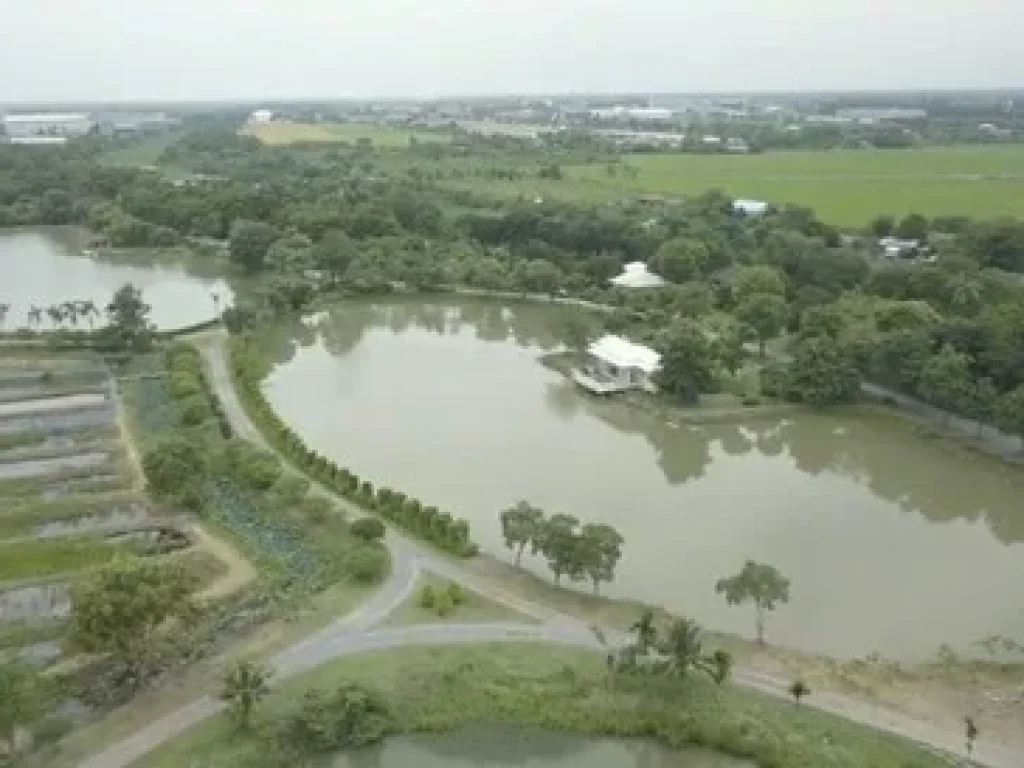 ขายบ้านสวนทวีพิกุล ติดคลองพระองค์เจ้าไชยานุชิต บางน้ำเปรี้ยว ฉะเชิงเทรา