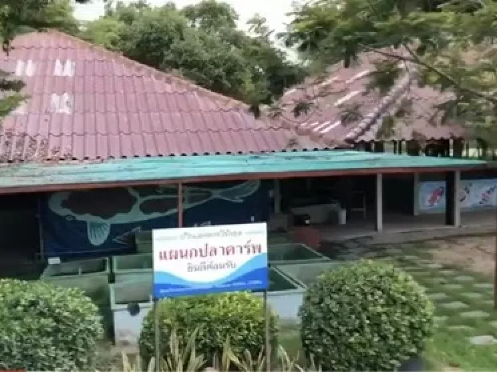 ขายบ้านสวนทวีพิกุล ติดคลองพระองค์เจ้าไชยานุชิต บางน้ำเปรี้ยว ฉะเชิงเทรา