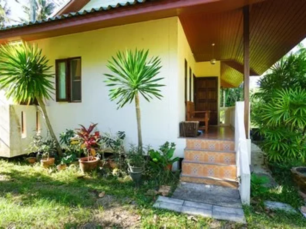 House 2 bedroom for rent opposite Post Office Chaweng TBophut KOh Samui Surat Thani Thailand