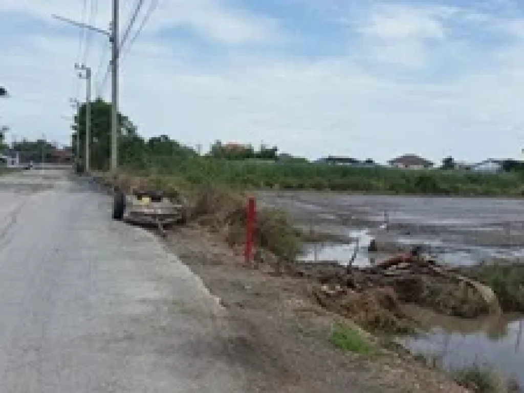 ที่ดินเปล่า ตำบลคลองหนึ่ง อำเภอคลองหลวง ปทุมธานี 19 ไร่ 872 ตรว