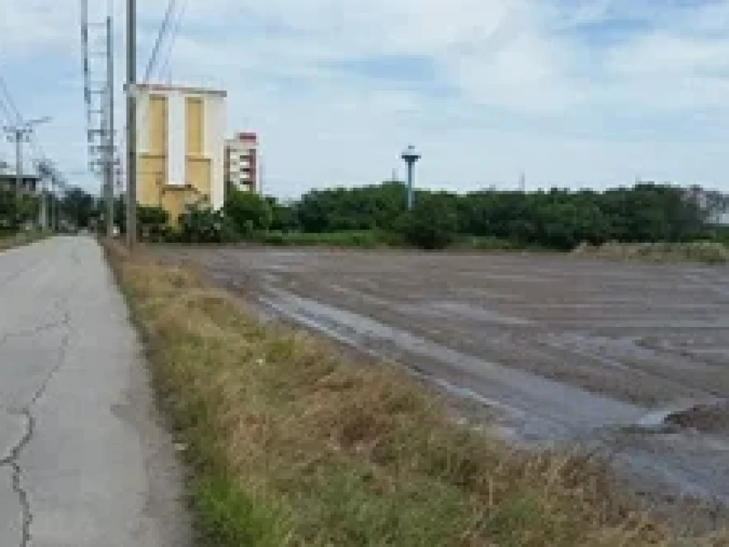 ที่ดินเปล่า ตำบลคลองหนึ่ง อำเภอคลองหลวง ปทุมธานี 19 ไร่ 872 ตรว