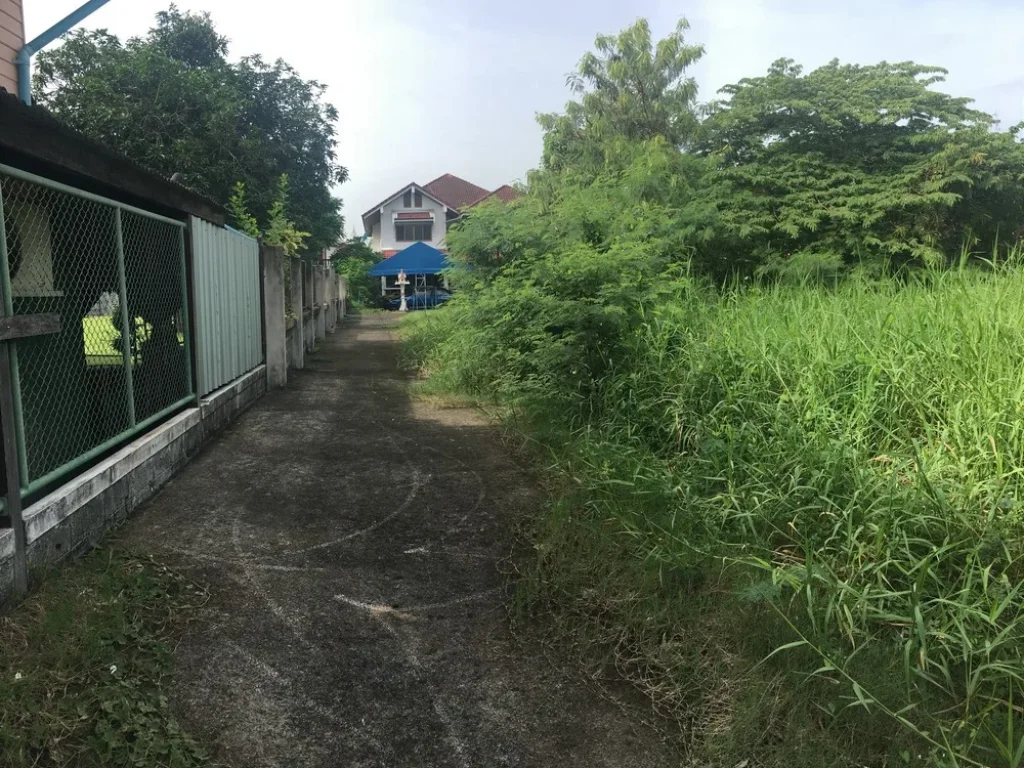 Land for Sale - Land 1785 sqWa Intamara 3 Private Zone Near BTS Sapankwai