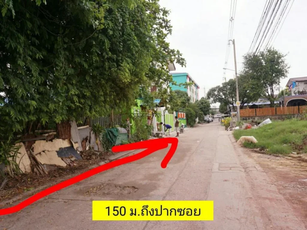 ขายที่ดิน ถนนเอกชัย-บางบอน