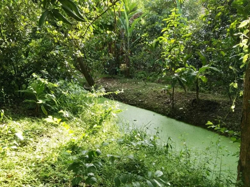 ขาย ที่ดินเปล่า 1 ไร่ ถนน นครอินทร์ บางกรวย นนทบุรี