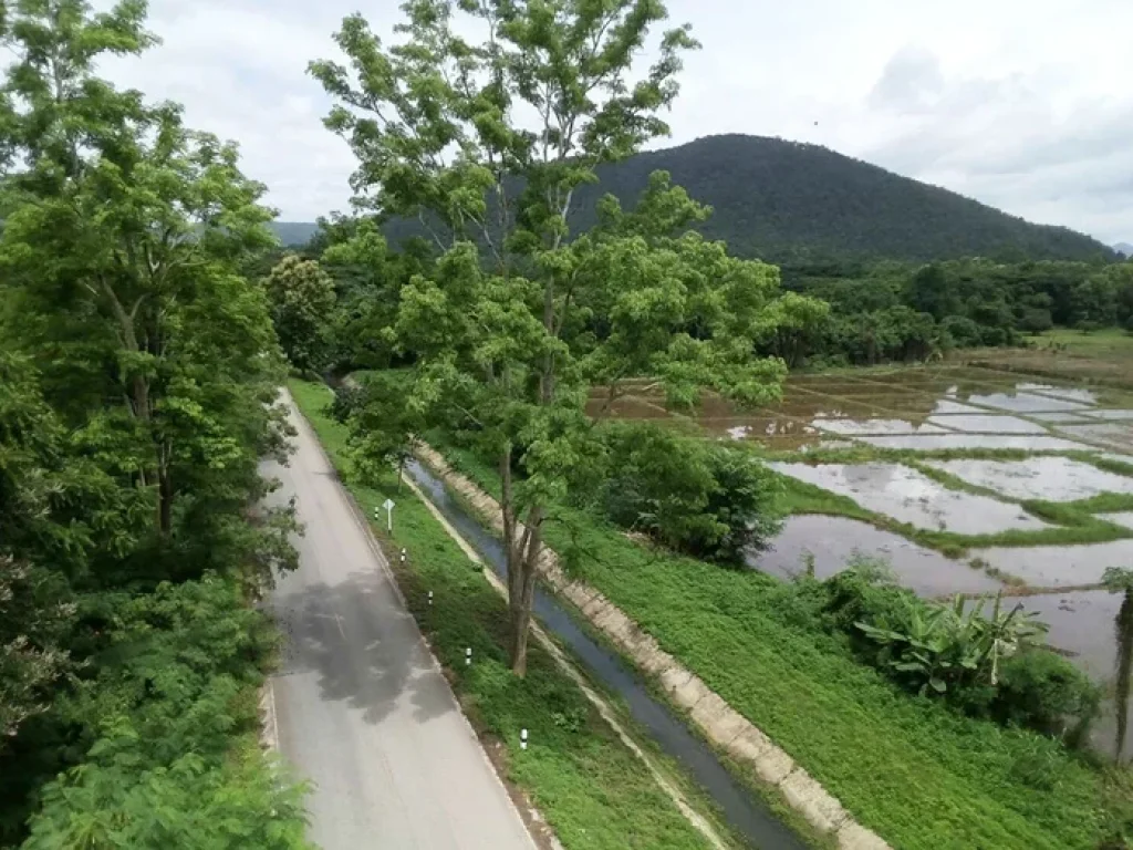 ที่วิวภูเขา ดอยสะเก็ด เชียงใหม่