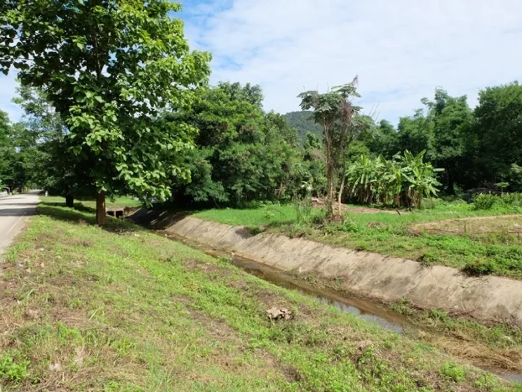 ที่วิวภูเขา ดอยสะเก็ด เชียงใหม่