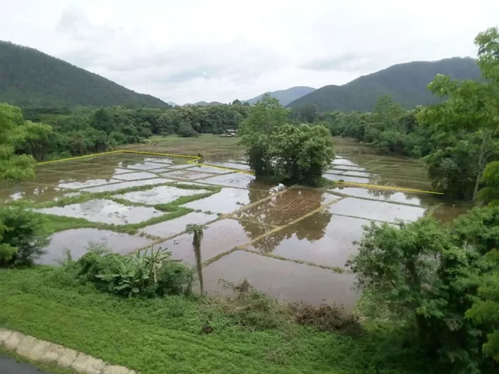 ที่วิวภูเขา ดอยสะเก็ด เชียงใหม่