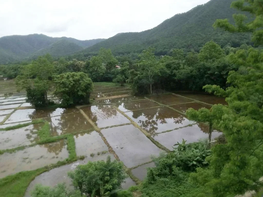 ที่วิวภูเขา ดอยสะเก็ด เชียงใหม่