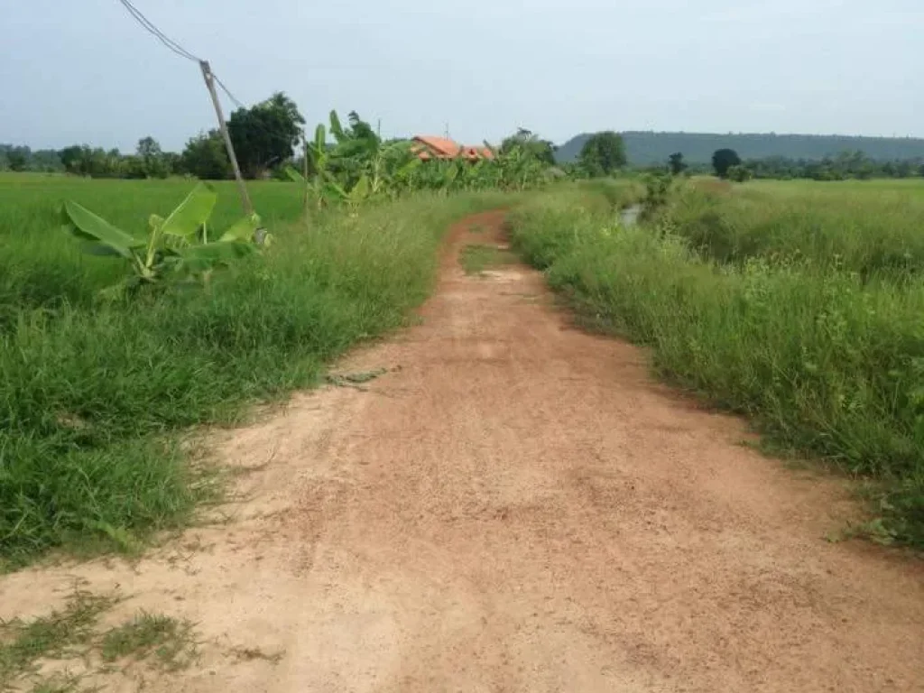 ขายบ้านพร้อมทีดินโนนสมบูรณ์ เสิงสาง โคราช