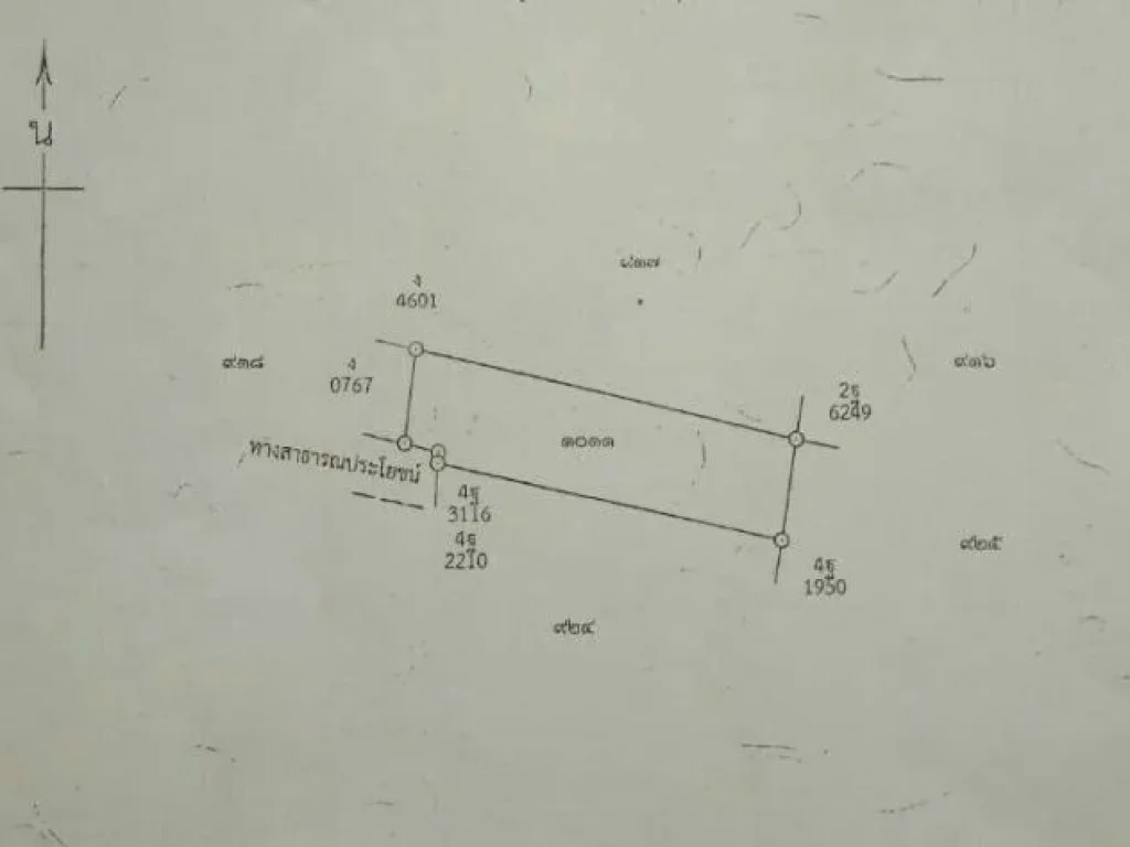 ขายที่ดิน ระยอง เมือง เข้าซอยถนน ค2 ห่างวงเวียนสุนทรภู่700เมตร 194ตรว