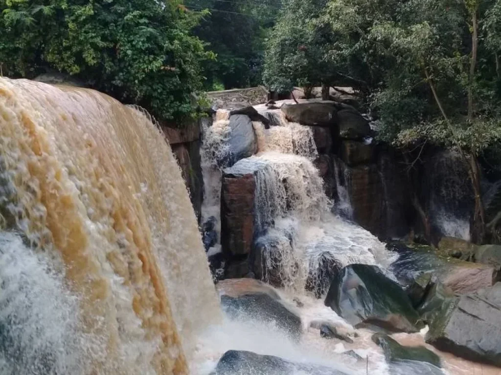 ขายที่ดิน 30 ไร่ อยู่บ้านห้วยฝรั่ง ตวะตะแบก อเทพสถิต จชัยภูมิ