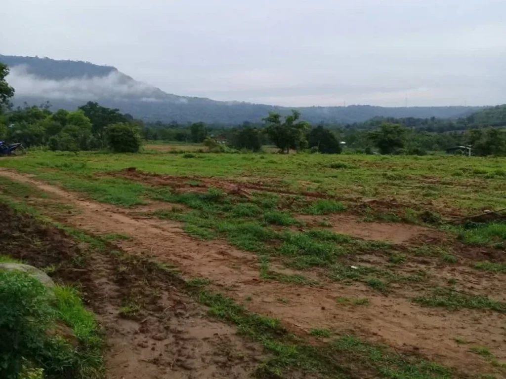 ขายที่ดิน 30 ไร่ อยู่บ้านห้วยฝรั่ง ตวะตะแบก อเทพสถิต จชัยภูมิ