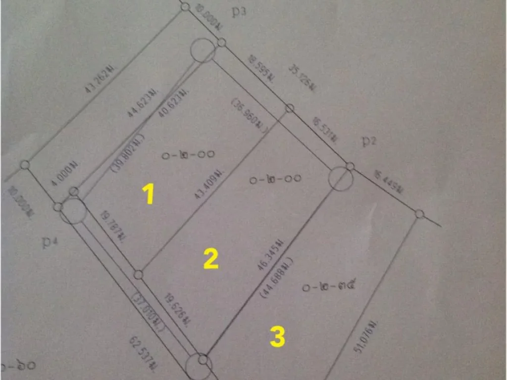 ที่ดิน นส3ก 200 ตรวในเขตเทศบาลชัชป่าหวาย ประปา ไฟฟ้า