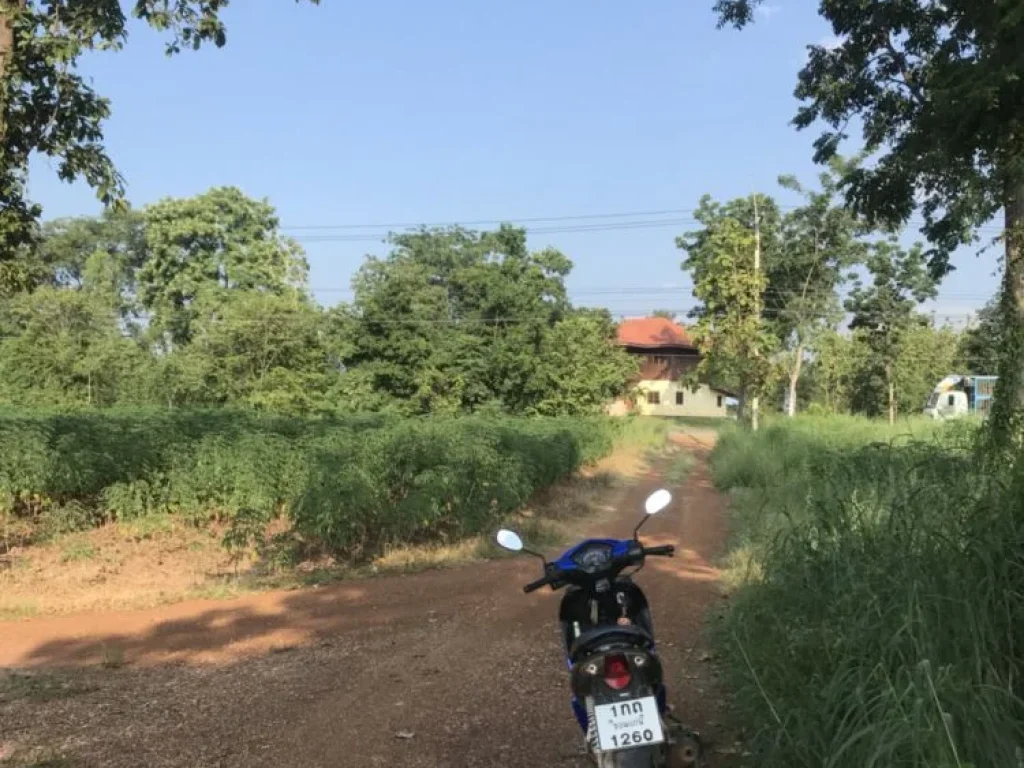 ขายที่ดิน หนองไผ่ เพชรบูรณ์