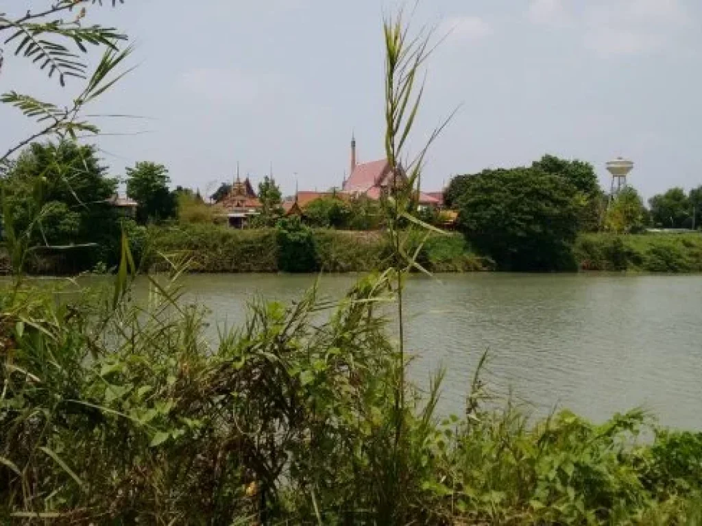 ขายที่ดิน ติดแม่น้ำเจ้าพระยา ทำเลใกล้ตัวเมืองอยุธยา