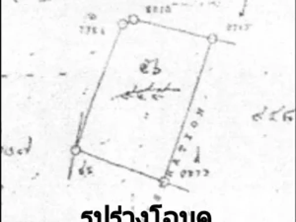 ที่ดิน พร้อมออฟฟิศ โกดังพร้อมใช้งาน ตำบลเสาธงหิน อำเภอบางใหญ่ นนทบุรี 2 ไร่