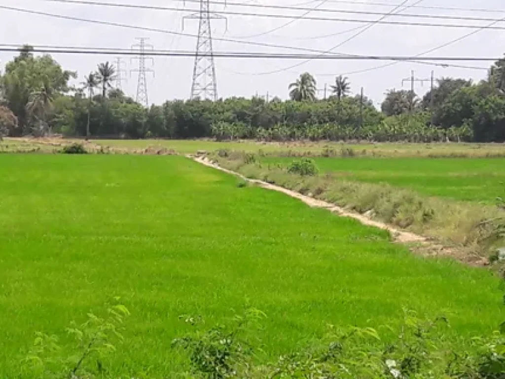 ไร่ ติดทางราดยาง คลองชลประทานใหญ่ - ท่าเรือ 2 เลนน์ ไฟฟ้า 3 เฟรส