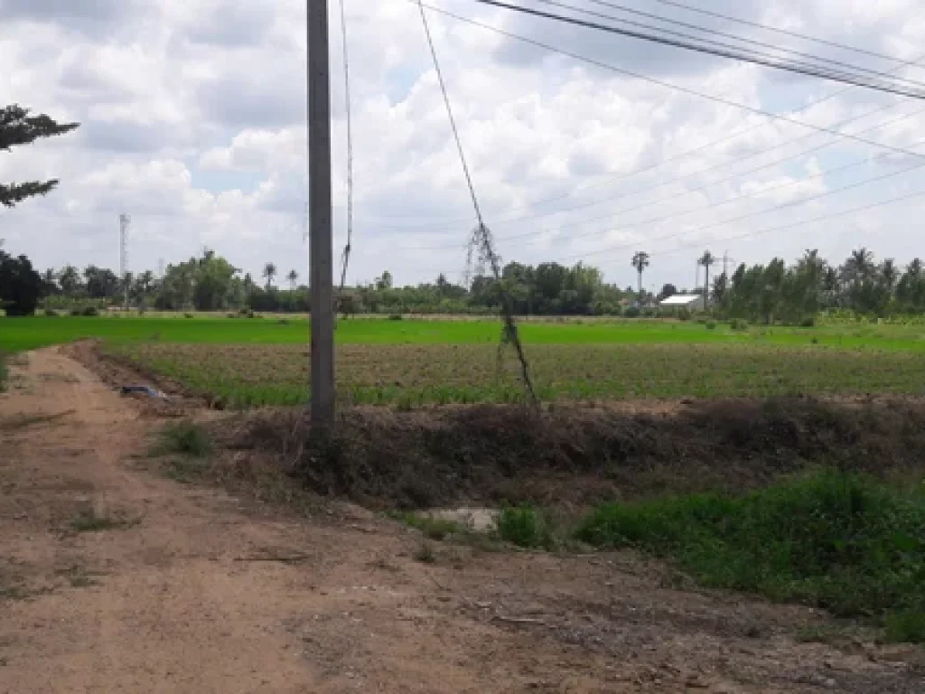 ไร่ ติดทางราดยาง คลองชลประทานใหญ่ - ท่าเรือ 2 เลนน์ ไฟฟ้า 3 เฟรส