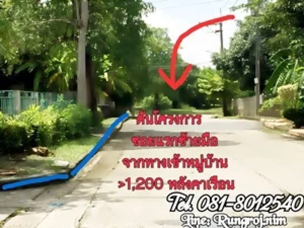 บ้านเดี่ยว แขวงลำผักชี เขตหนองจอก กทม เนื้อที่ 161 ตรว