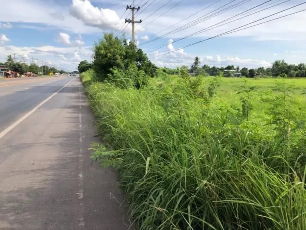 ขายที่ดินราคาถูกติดถนนสี่เลน