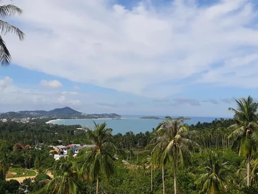 Sea view land for sale ขายที่ดินซีวิวเฉวงน้อยเกาะสมุย ถูกทีสุด Samui